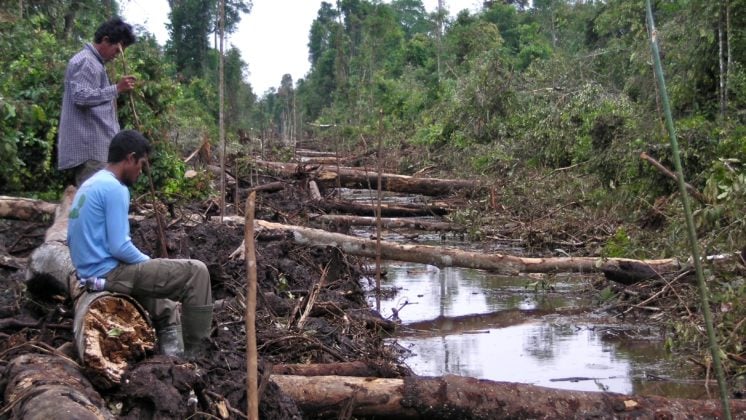Villagers on Borneo (Indonsia) watch their devastated forest