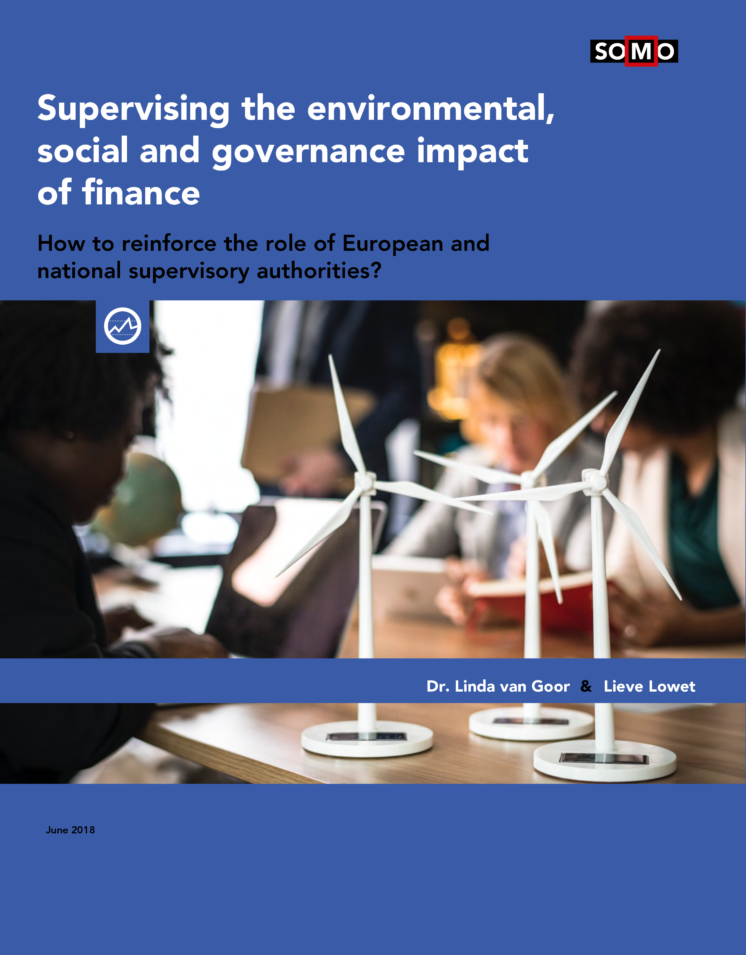 publication cover - Hoe kunnen financiele toezichthouders duurzaamheid integreren in hun werk?