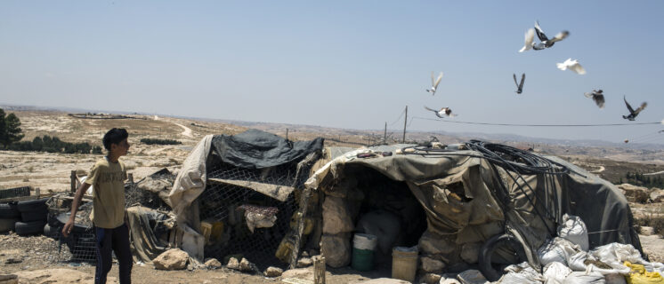 A boy attends to his pigeons, Susiya. 

