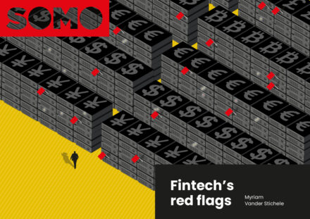 publication cover - Rode vlaggen in fintech