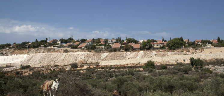 Abode village, with Israeli settlement Bet Arye in background. Villagers complain of land grabs and difficulty accessing their olive harvest in 2015.